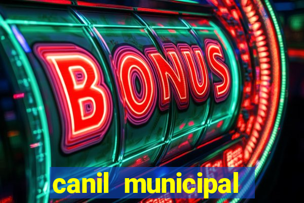 canil municipal porto alegre